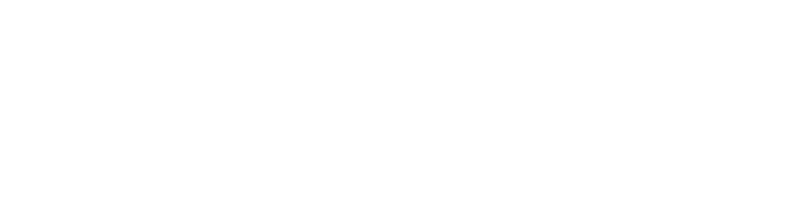 Fast Forward Strategy Consulting